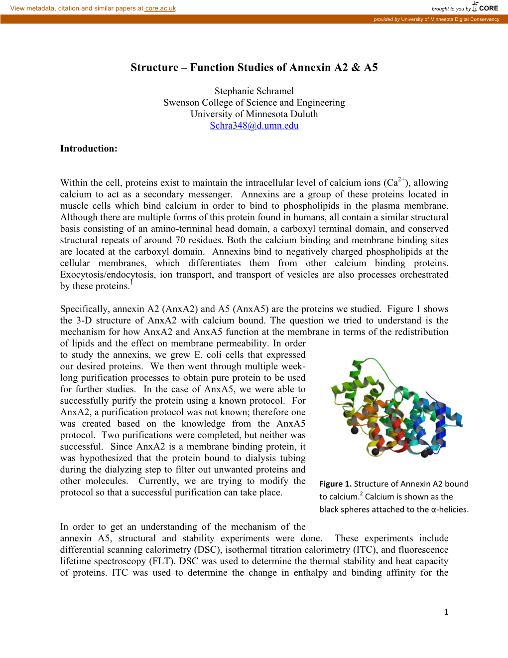 Structure – Function Studies of Annexin A2 & A5