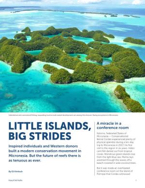 Little Islands, Big Strides