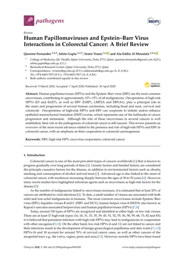 Human Papillomaviruses and Epstein–Barr Virus Interactions in Colorectal Cancer: a Brief Review