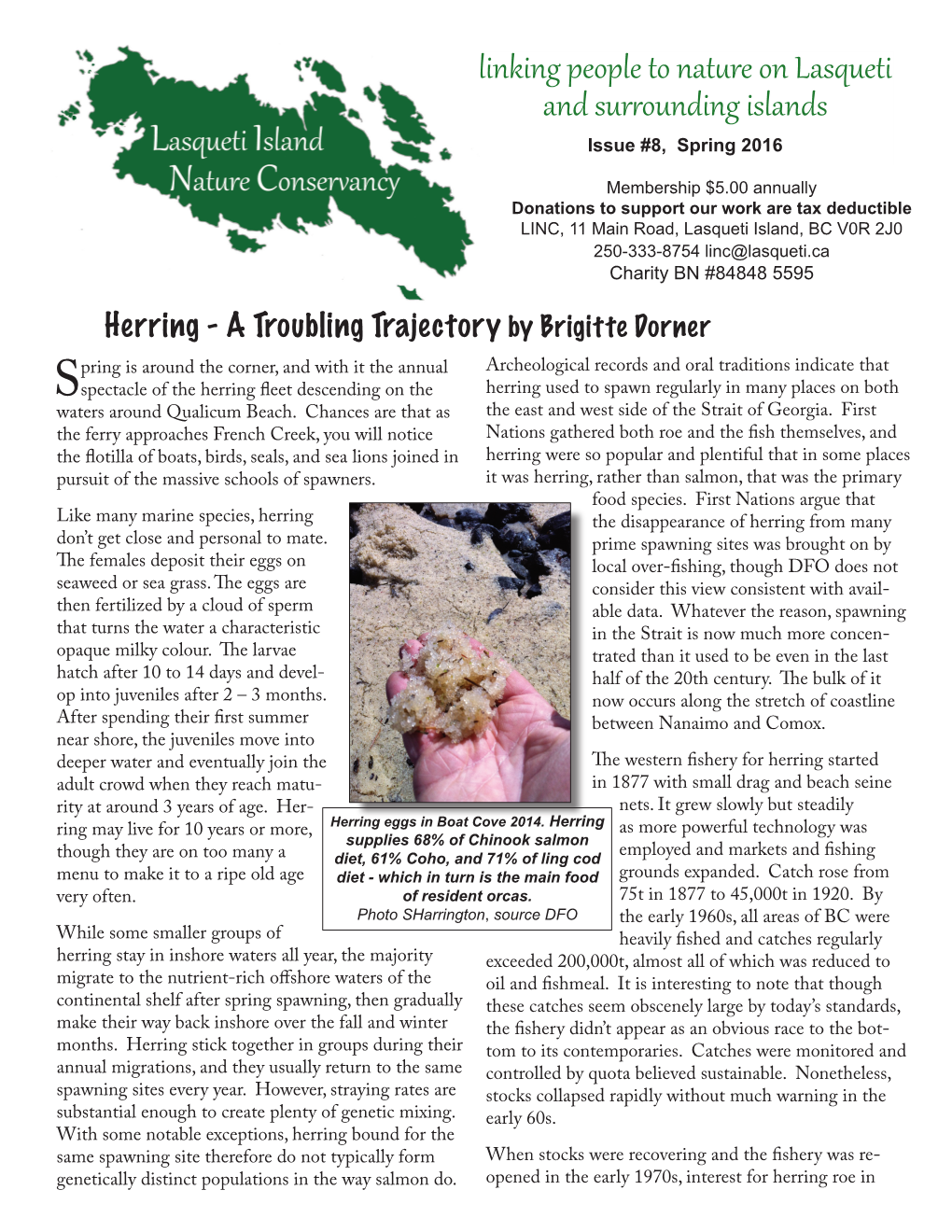 Linking People to Nature on Lasqueti and Surrounding Islands Issue #8, Spring 2016