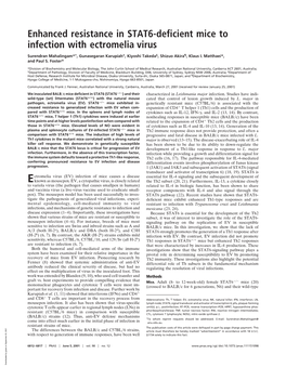 Enhanced Resistance in STAT6-Deficient Mice to Infection with Ectromelia Virus