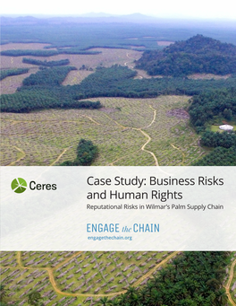 Case Study: Business Risks and Human Rights Reputational Risks in Wilmar’S Palm Supply Chain