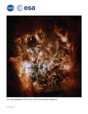 Large Magellanic Cloud, One of Our Busy Galactic Neighbors
