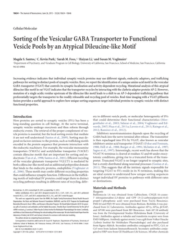 Sorting of the Vesicular GABA Transporter to Functional Vesicle Pools by an Atypical Dileucine-Like Motif