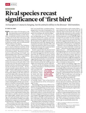 Rival Species Recast Significance of 'First Bird'