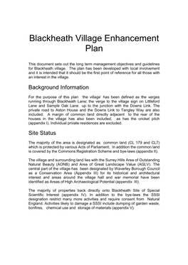 Blackheath Village Enhancement Plan