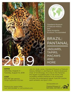 BRAZIL: PANTANAL JAGUARS, TAPIRS, MACAWS and 2019 MORE DATES Join Dr