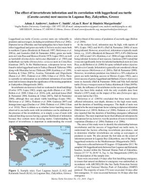The Effect of Invertebrate Infestation and Its Correlation with Loggerhead Sea Turtle (Caretta Caretta) Nest Success in Laganas Bay, Zakynthos, Greece
