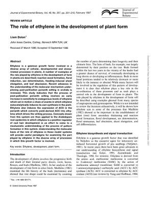 The Role of Ethylene in the Development of Plant Form