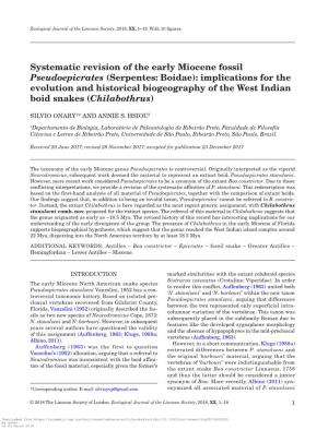 Systematic Revision of the Early Miocene Fossil Pseudoepicrates