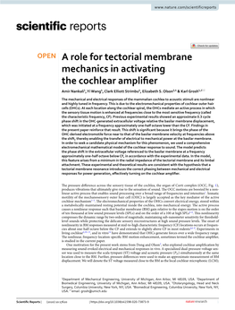 A Role for Tectorial Membrane Mechanics in Activating the Cochlear Amplifer Amir Nankali1, Yi Wang4, Clark Elliott Strimbu4, Elizabeth S