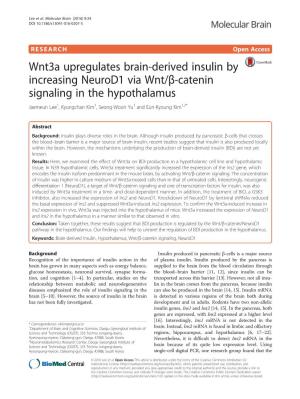 Wnt3a Upregulates Brain-Derived Insulin by Increasing Neurod1 Via