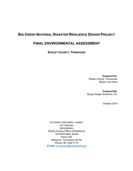 Big Creek Environmental Assessment