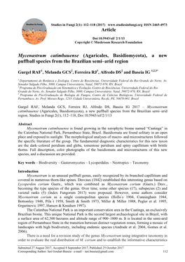 Mycenastrum Catimbauense (Agaricales, Basidiomycota), a New Puffball Species from the Brazilian Semi–Arid Region Article