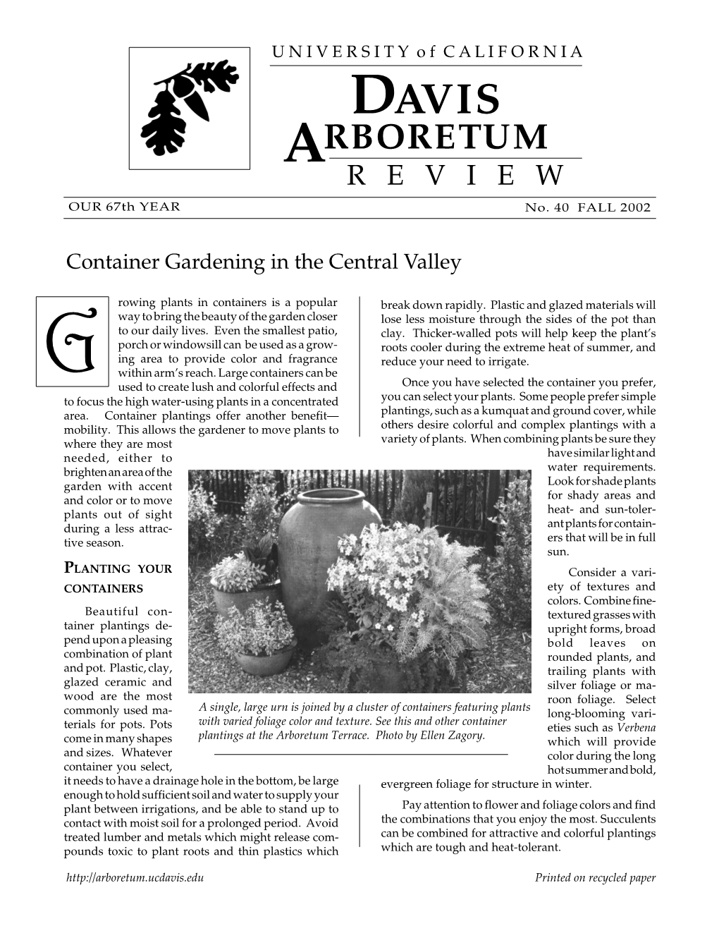 Container Gardening in the Central Valley