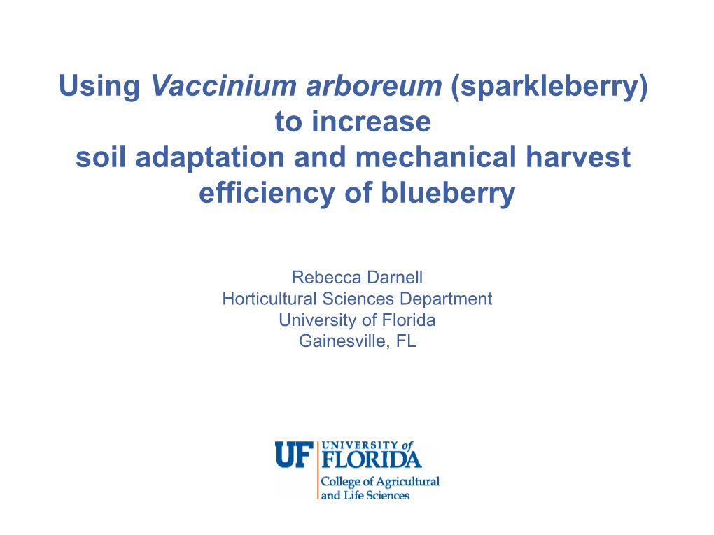 Using Vaccinium Arboreum (Sparkleberry) to Increase Soil Adaptation and Mechanical Harvest Efficiency of Blueberry