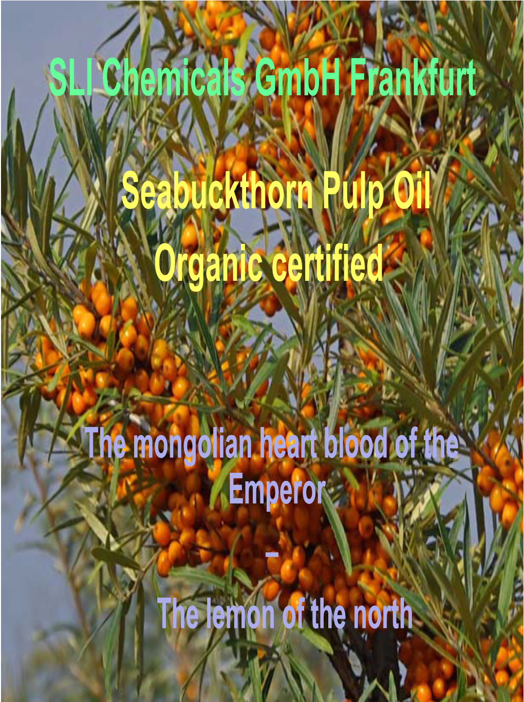 SLI Chemicals Gmbh Frankfurt Seabuckthorn Pulp Oil Organic Certified