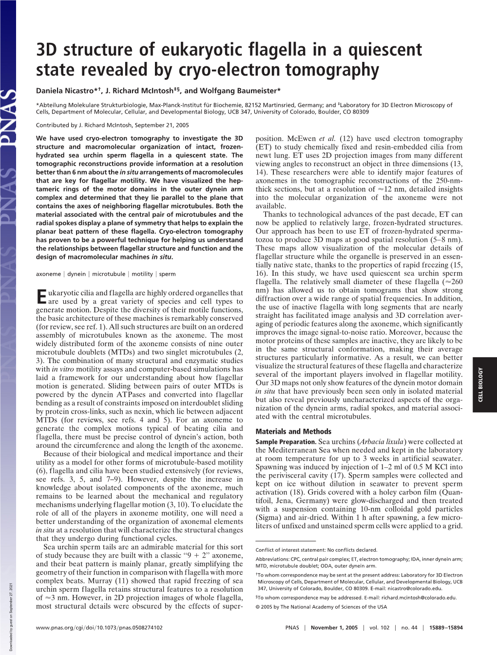 3D Structure of Eukaryotic Flagella in a Quiescent State Revealed by Cryo-Electron Tomography