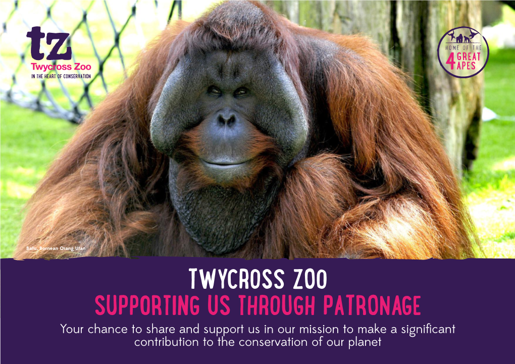 Twycross Zoo Supporting Us Through Patronage