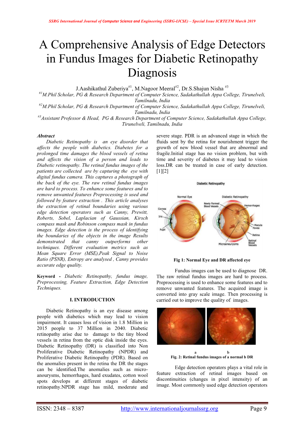 A Comprehensive Analysis of Edge Detectors in Fundus Images for Diabetic Retinopathy Diagnosis