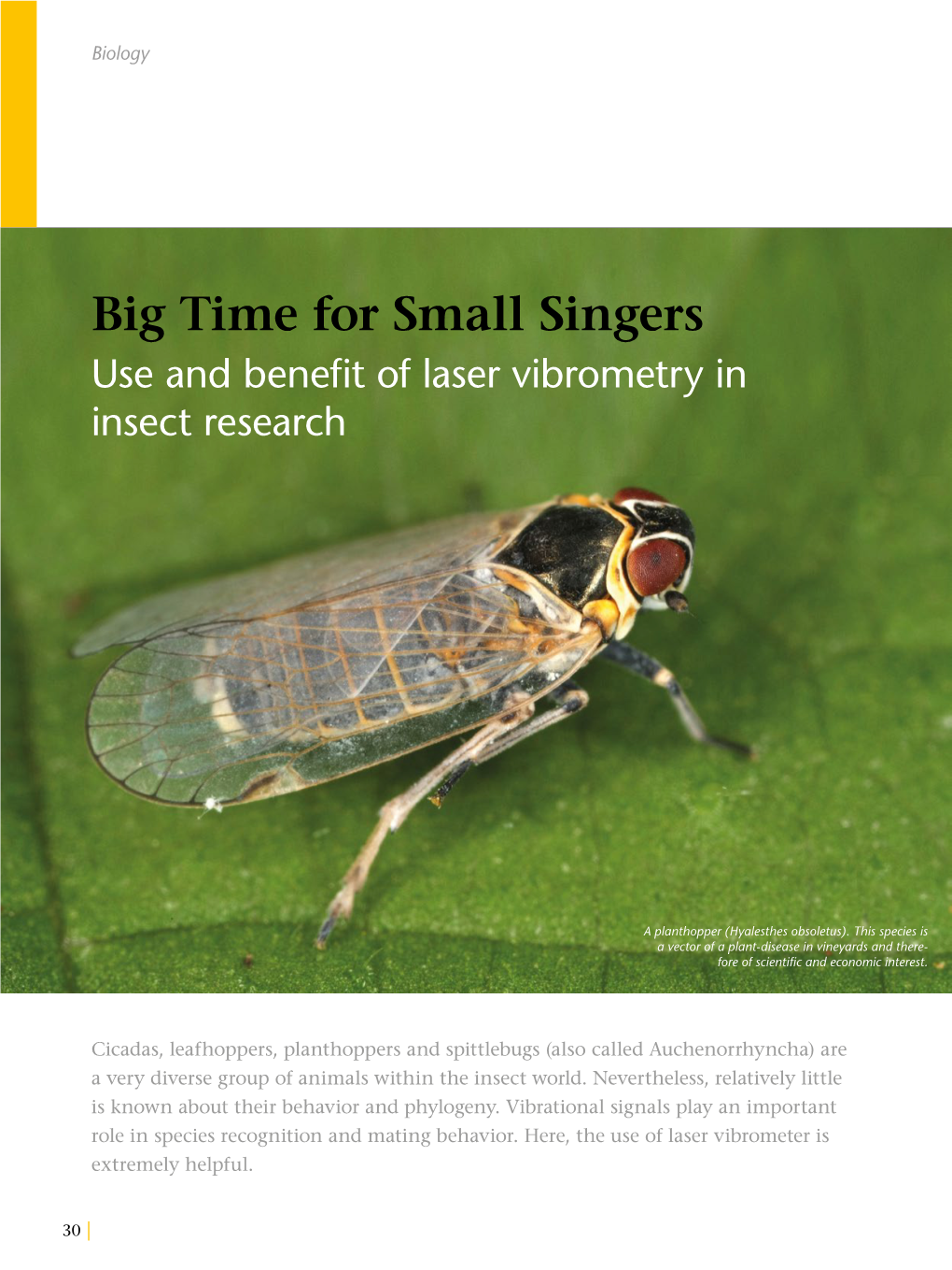 Big Time for Small Singers Use and Benefit of Laser Vibrometry in Insect Research