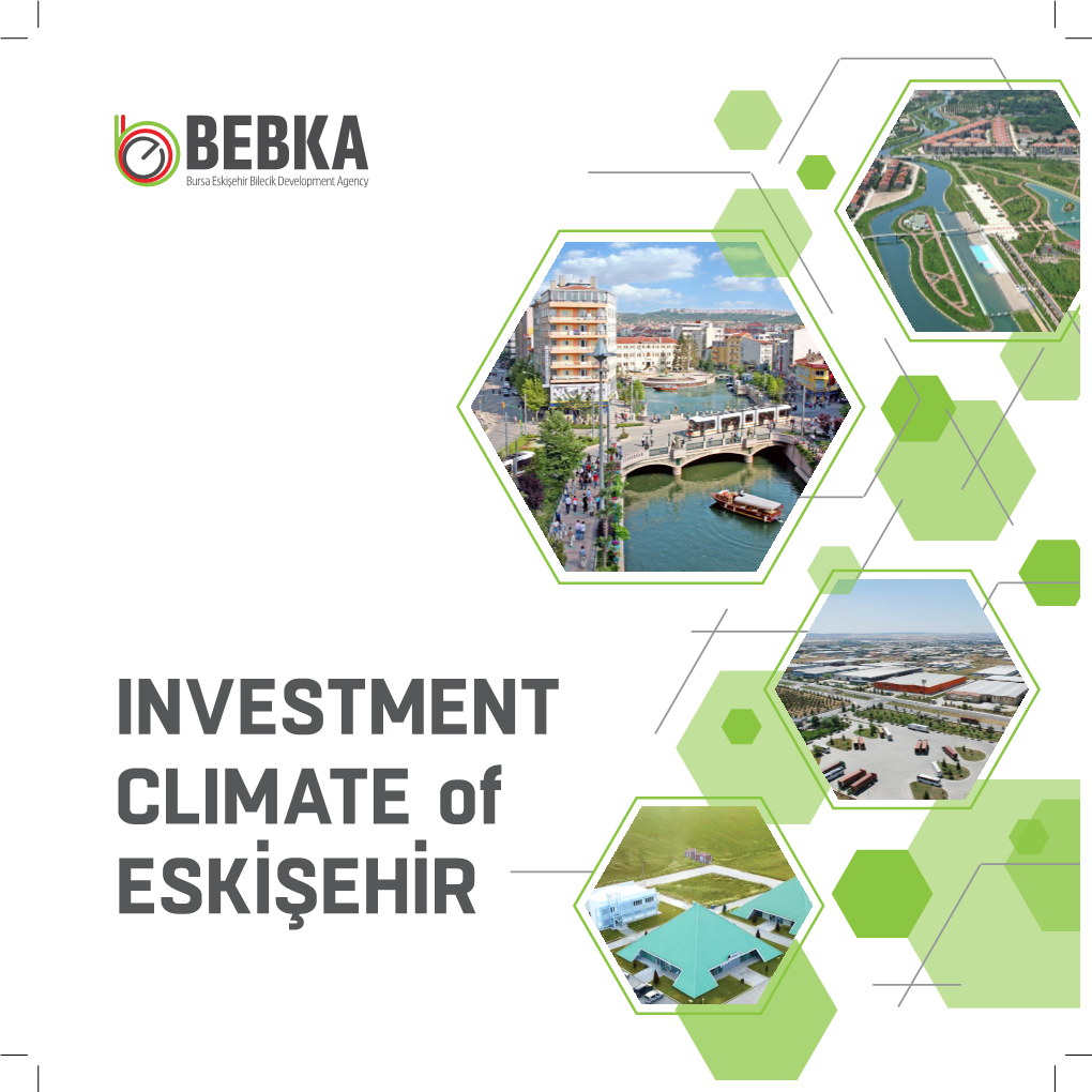 INVESTMENT CLIMATE of ESKİŞEHİR