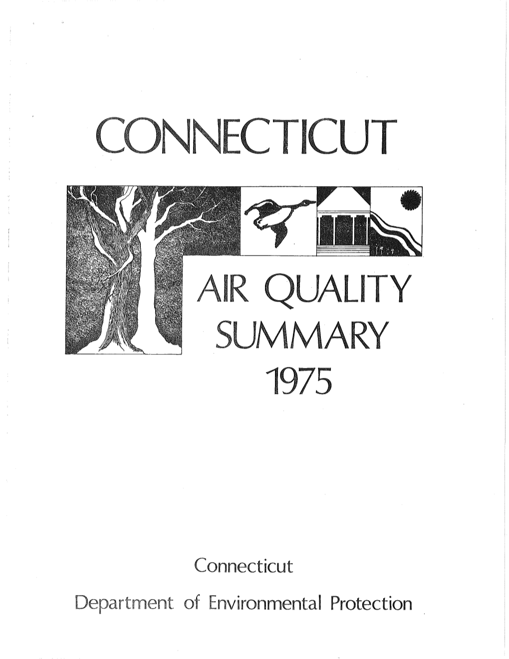 1975 Air Quality Summary