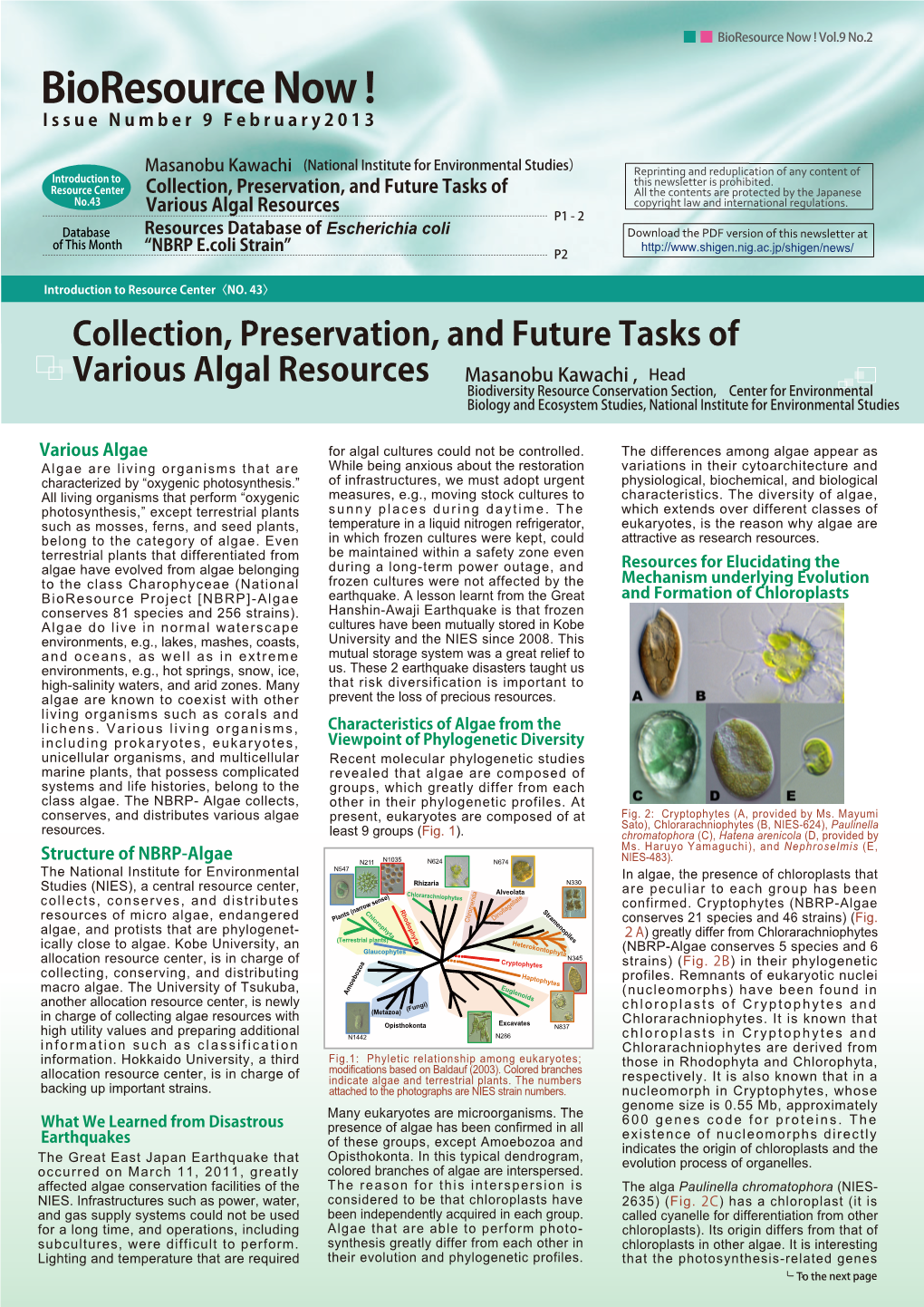 Bioresource Now ! Vol.9 No.2 Bioresource Now ! Issue Number 9 February2013