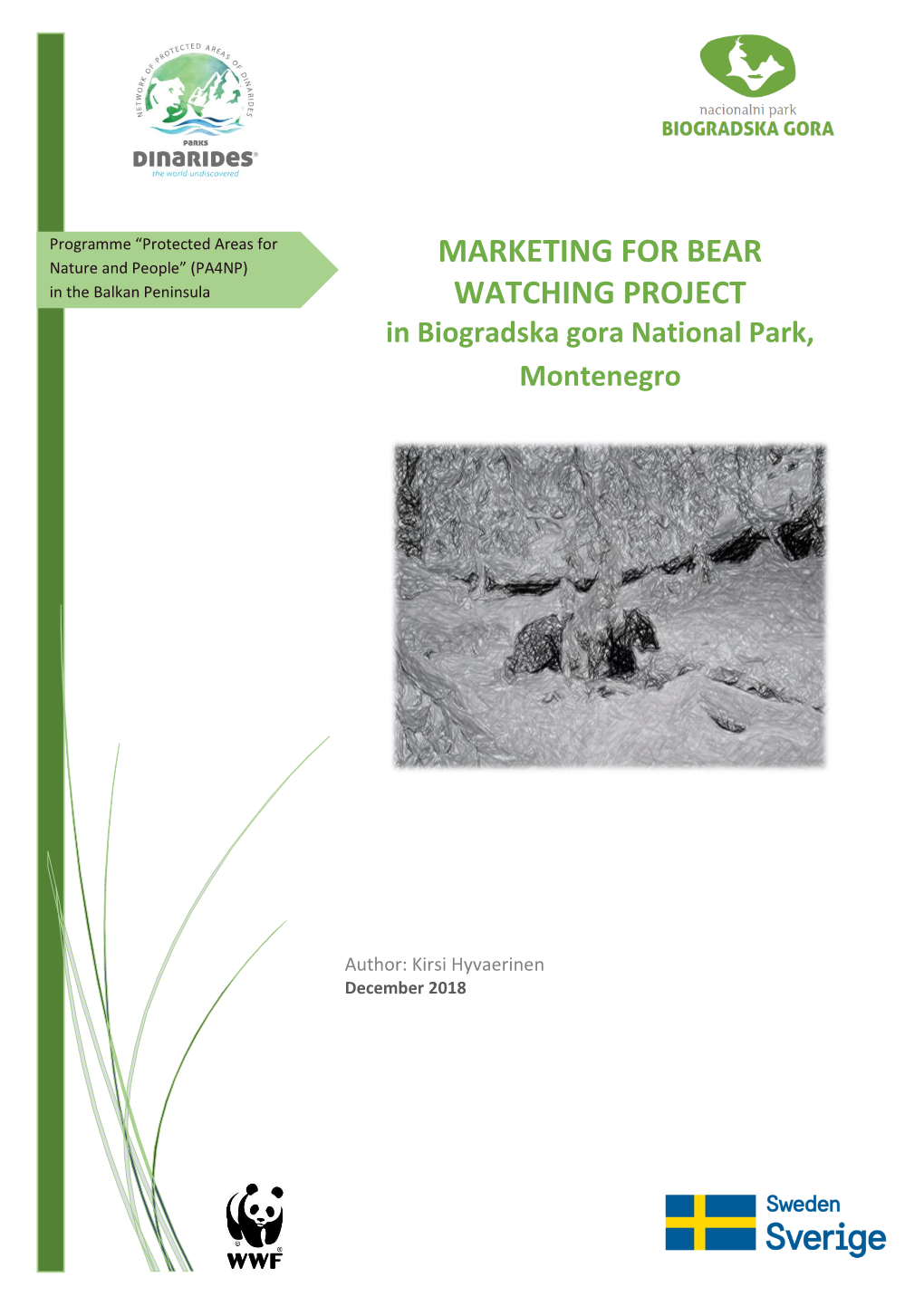 Marketing for Bear Watching Project