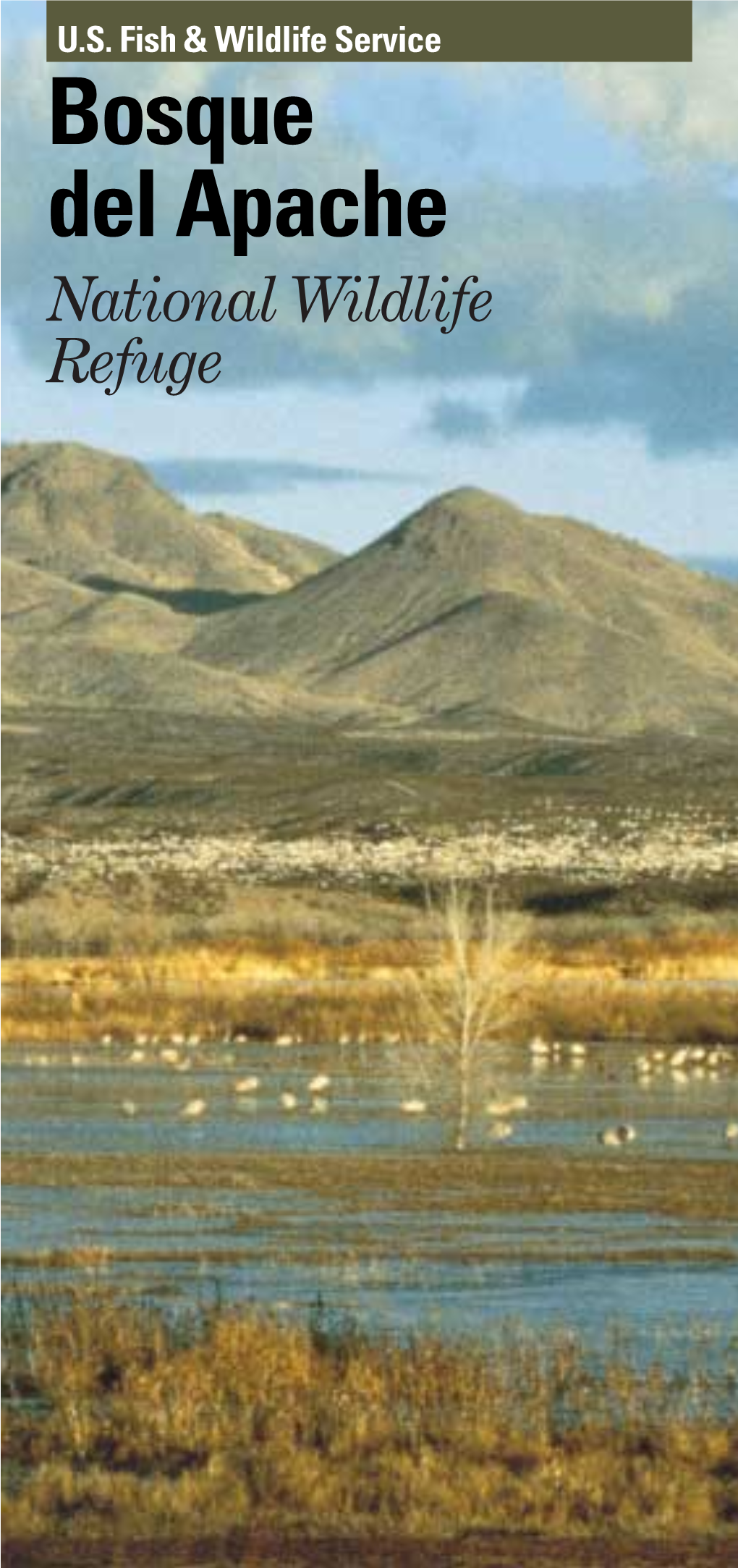 Bosque Del Apache National Wildlife Refuge