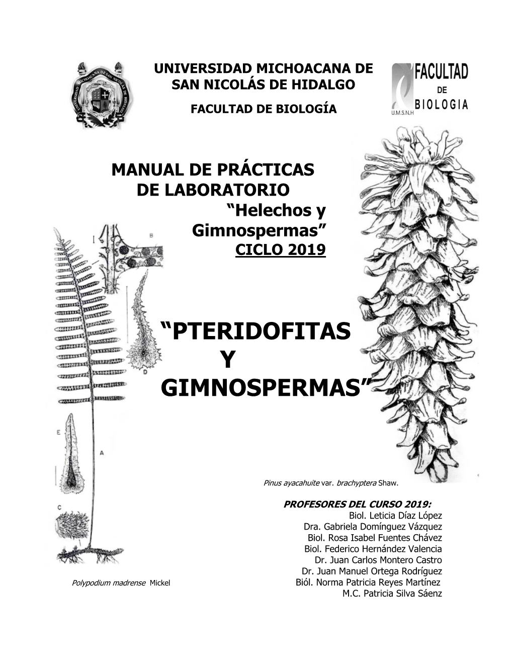 Pteridofitas Y Gimnospermas”