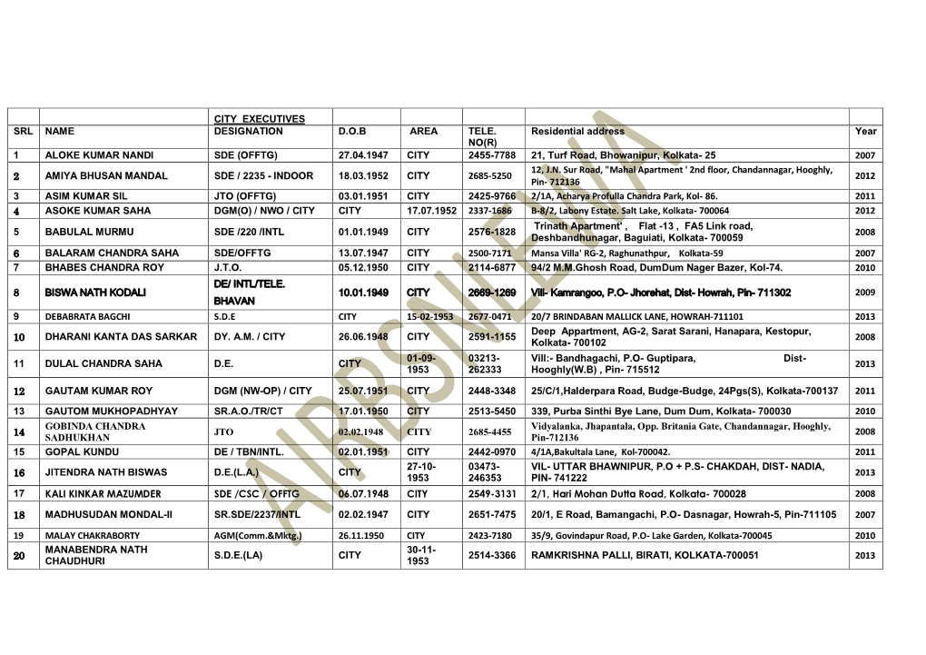 City Executives Srl Name Designation D.O.B Area Tele