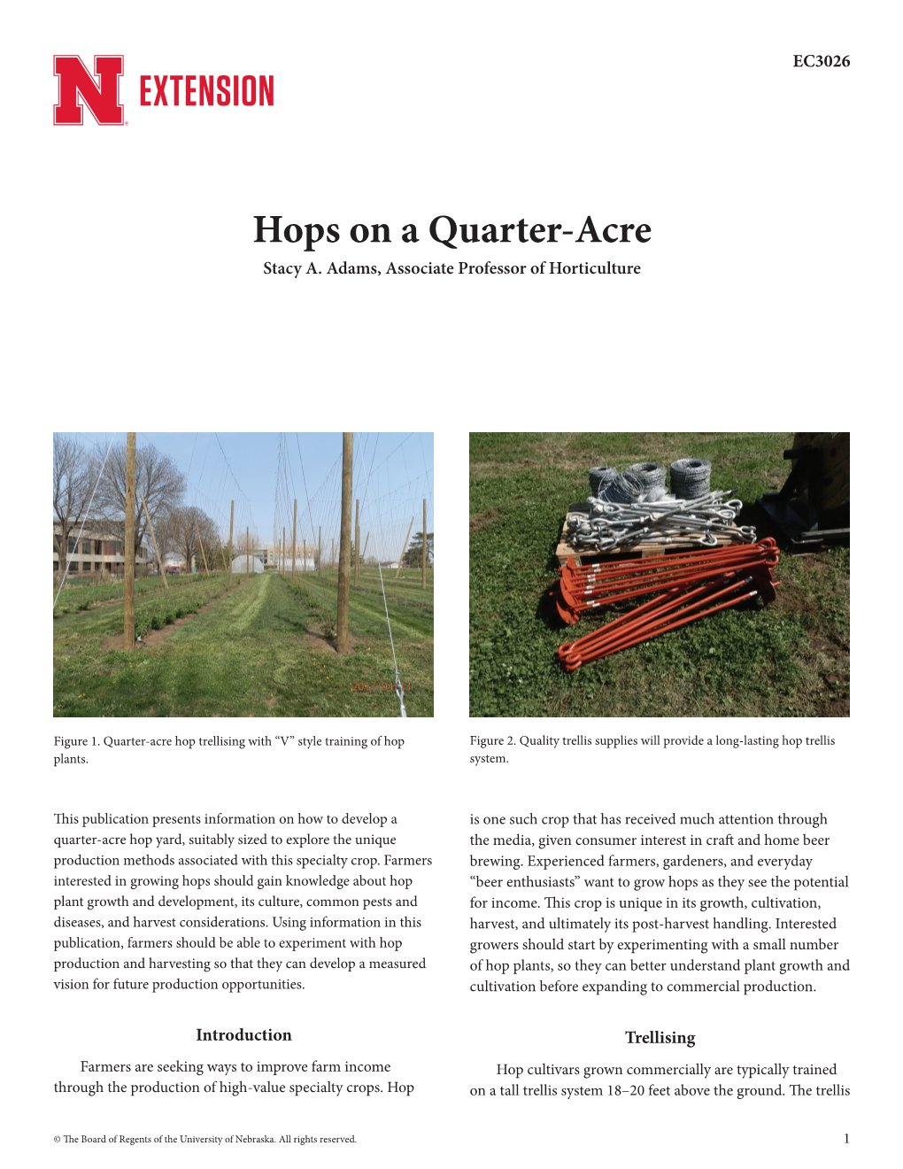 Hops on a Quarter-Acre