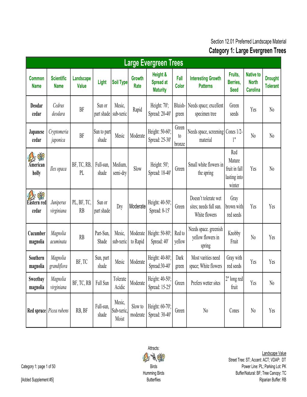 Category 1: Large Evergreen Trees