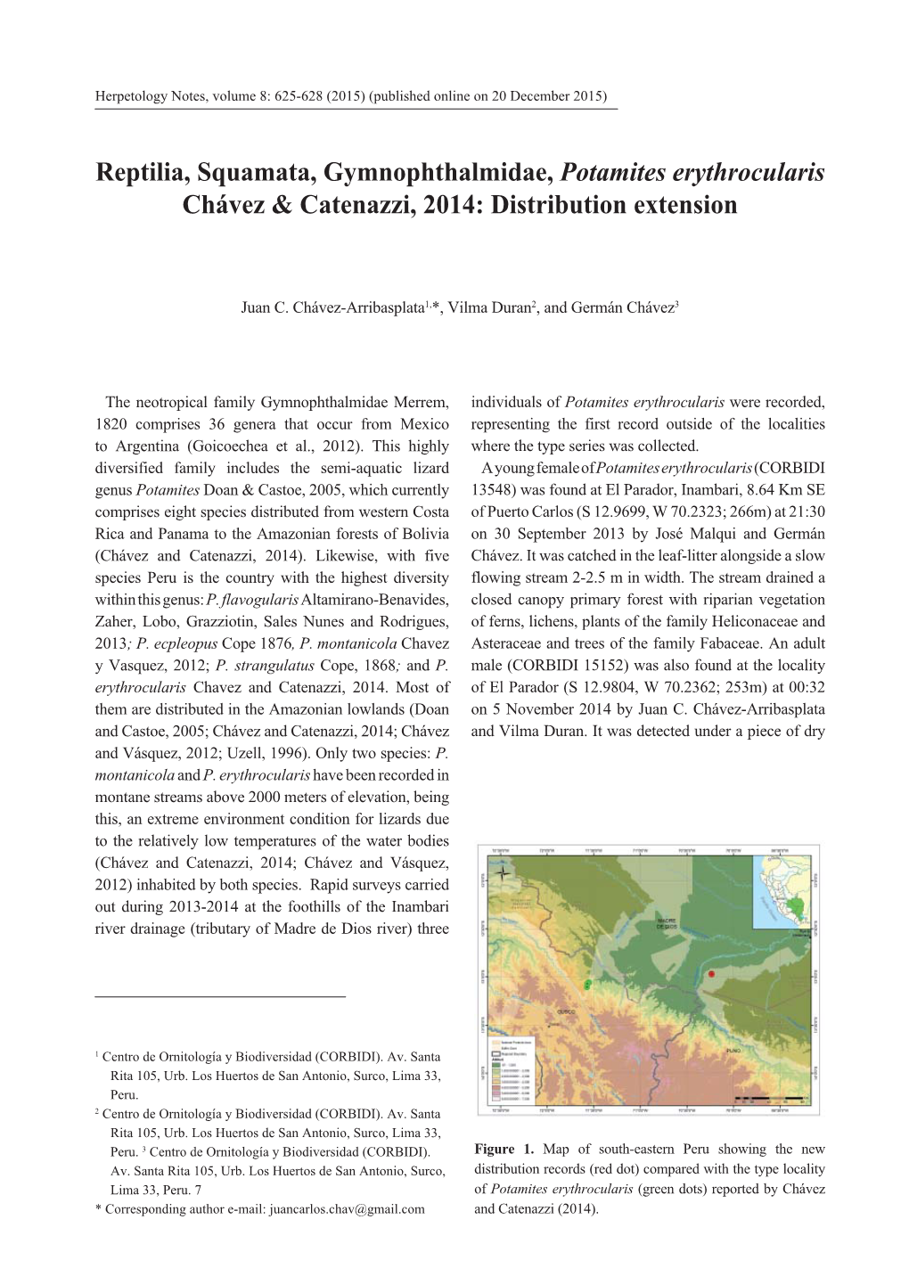 Reptilia, Squamata, Gymnophthalmidae, Potamites Erythrocularis Chávez & Catenazzi, 2014: Distribution Extension