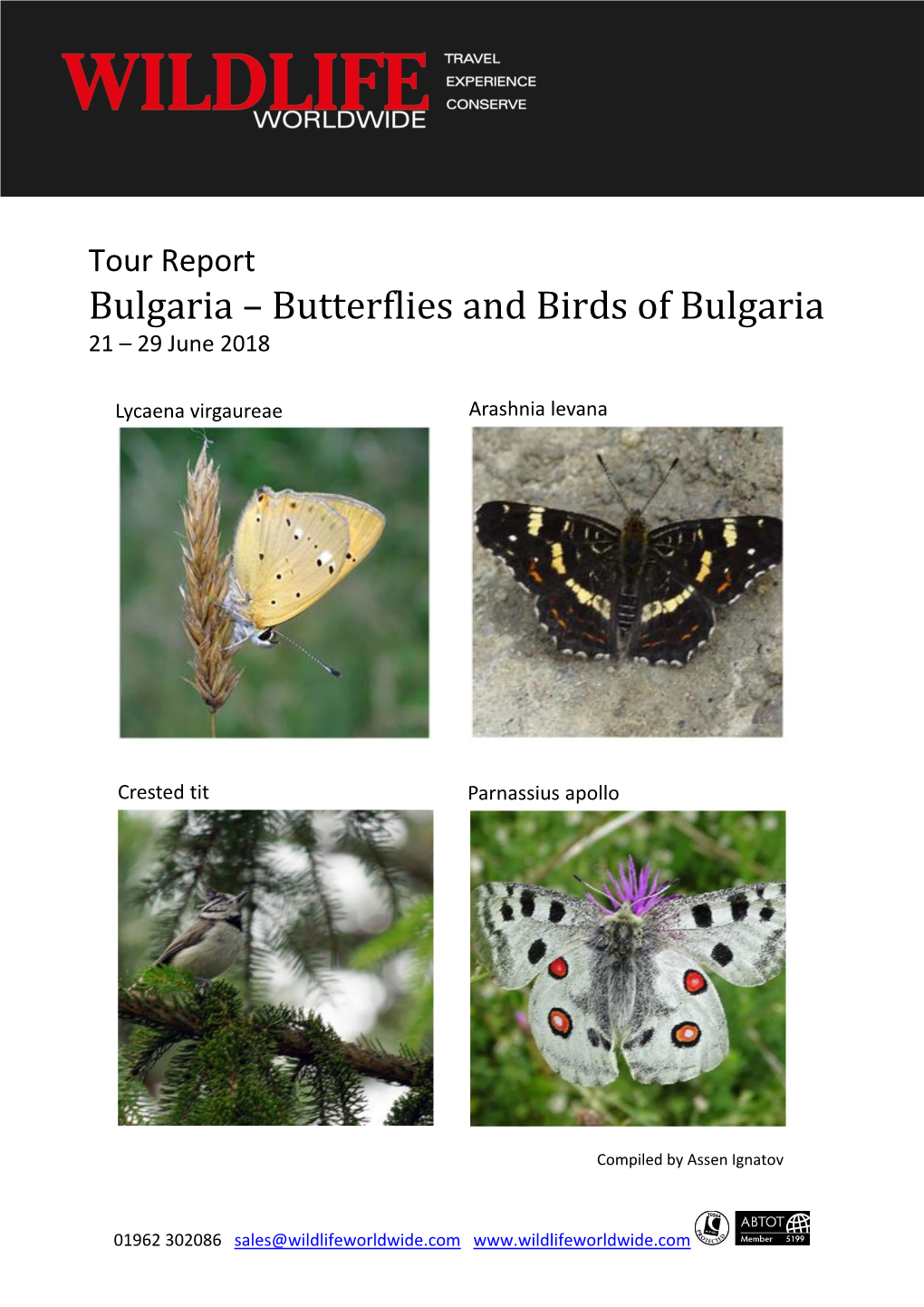 Butterflies and Birds of Bulgaria 21 – 29 June 2018