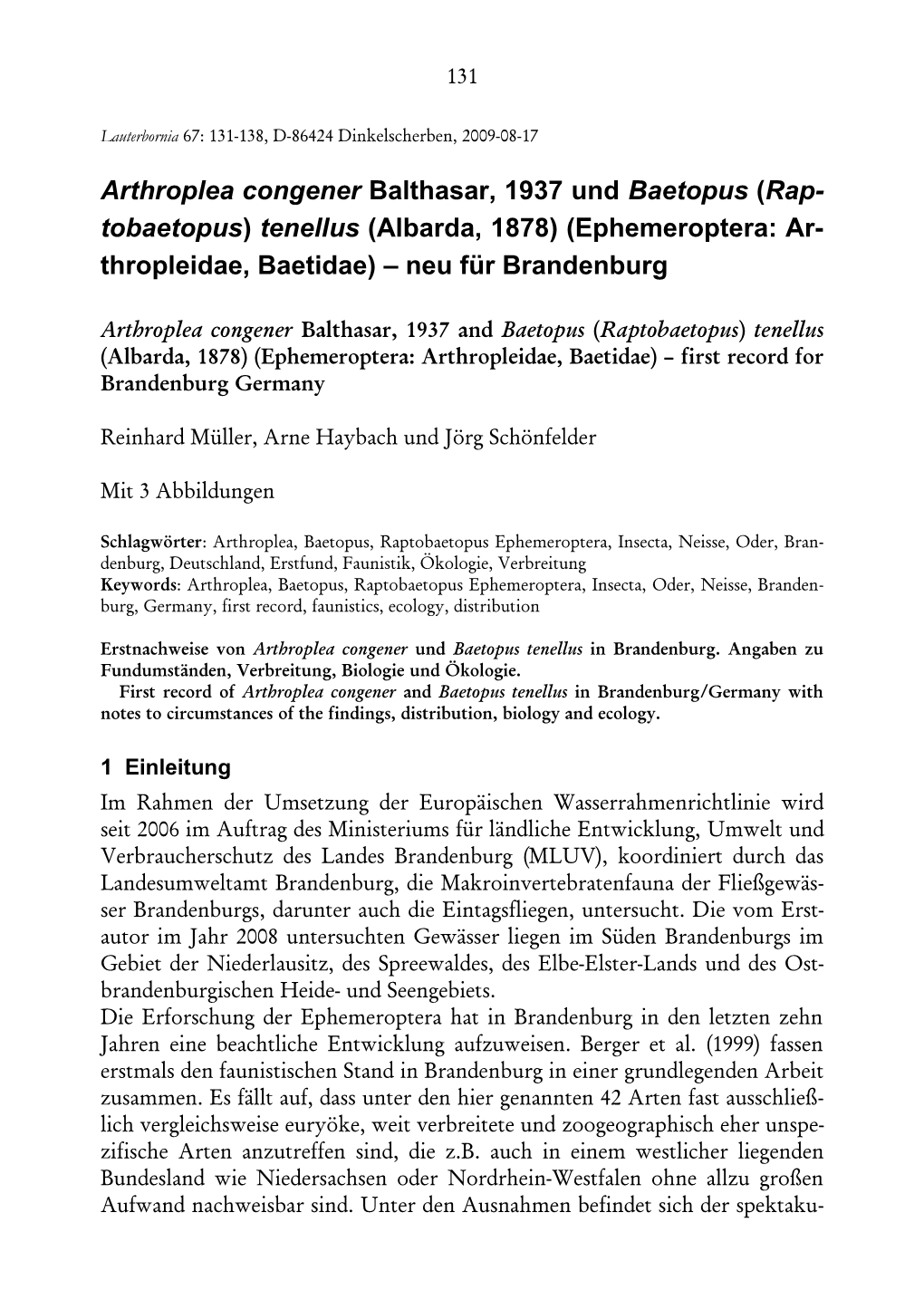 Arthroplea Congener Balthasar, 1937 Und Baetopus (Rap- Tobaetopus) Tenellus (Albarda, 1878) (Ephemeroptera: Ar- Thropleidae, Baetidae) – Neu Für Brandenburg