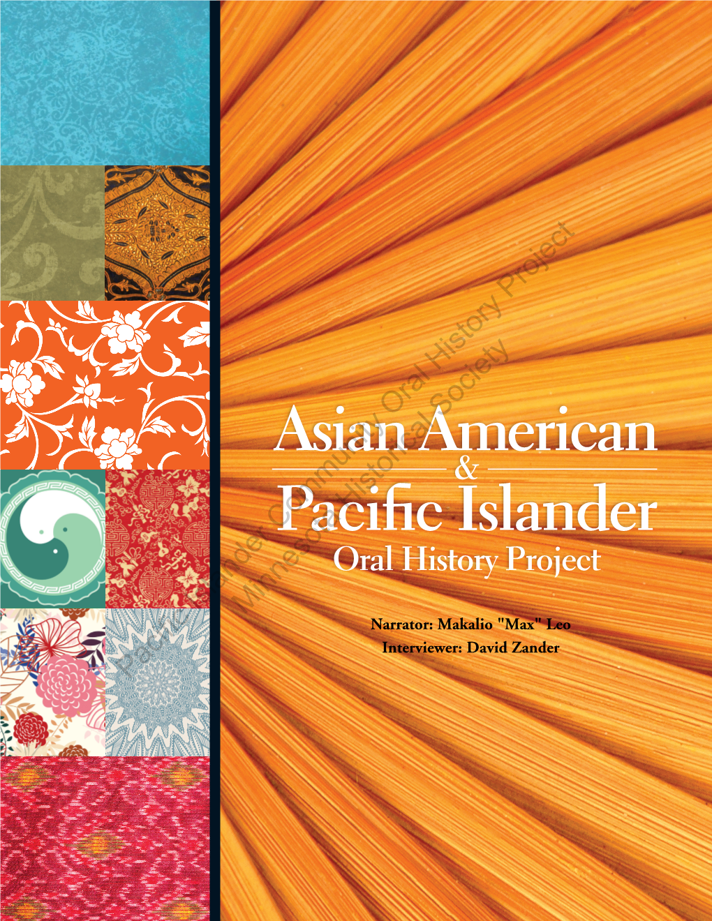 Asian American Pacific Islander