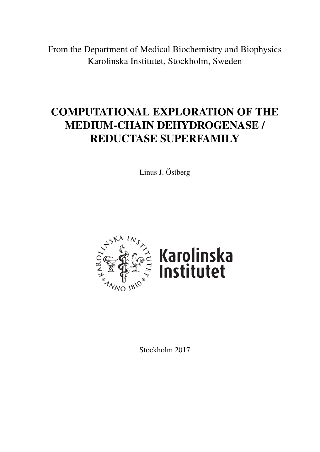 Computational Exploration of the Medium-Chain Dehydrogenase / Reductase Superfamily