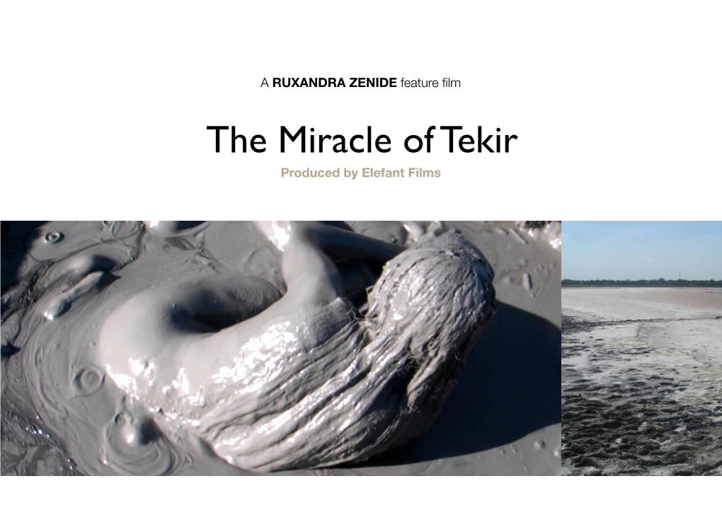 The Miracle of Tekir Produced by Elefant Films Hors Saison Visuel