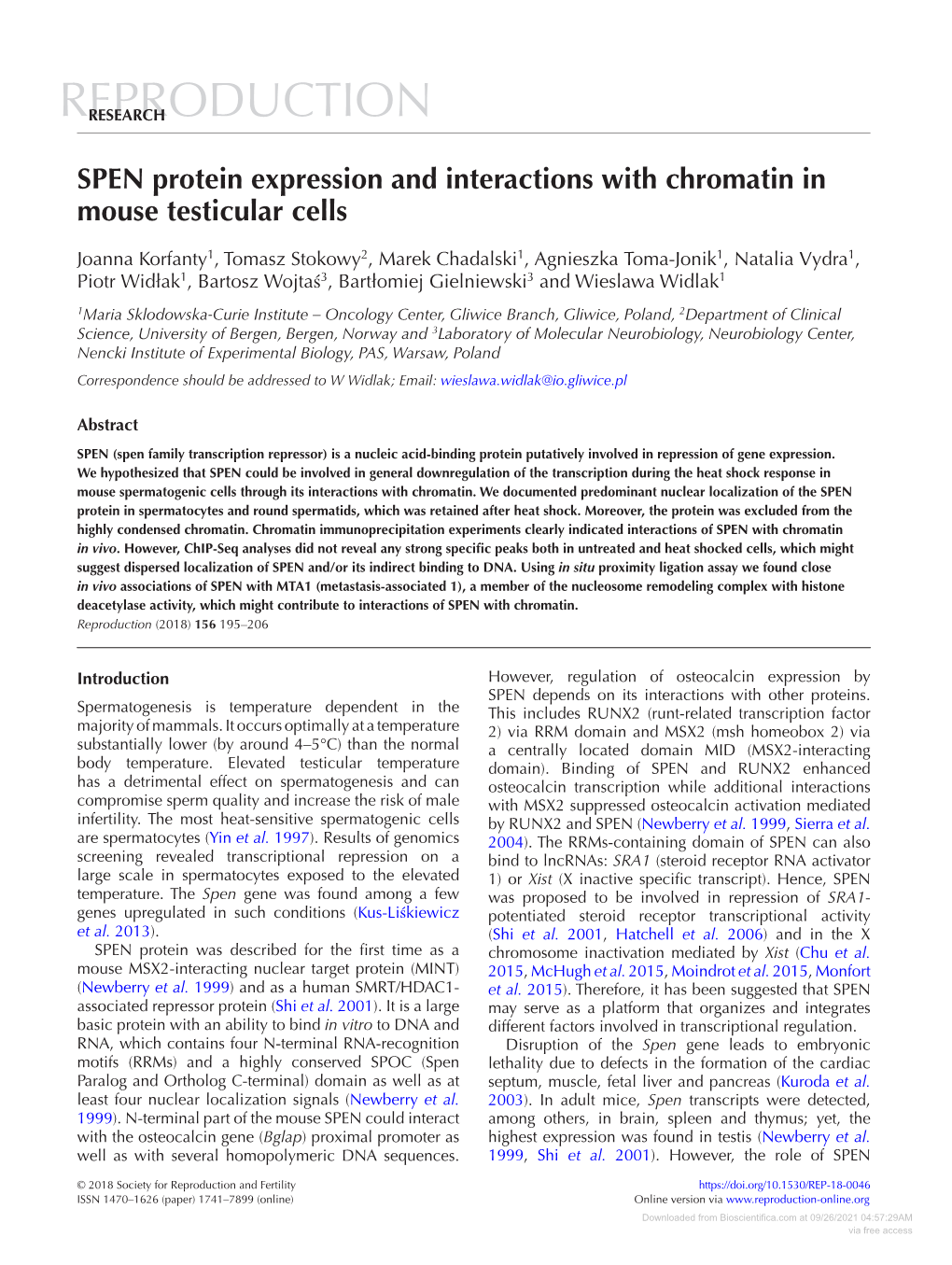 SPEN Protein Expression and Interactions with Chromatin in Mouse Testicular Cells