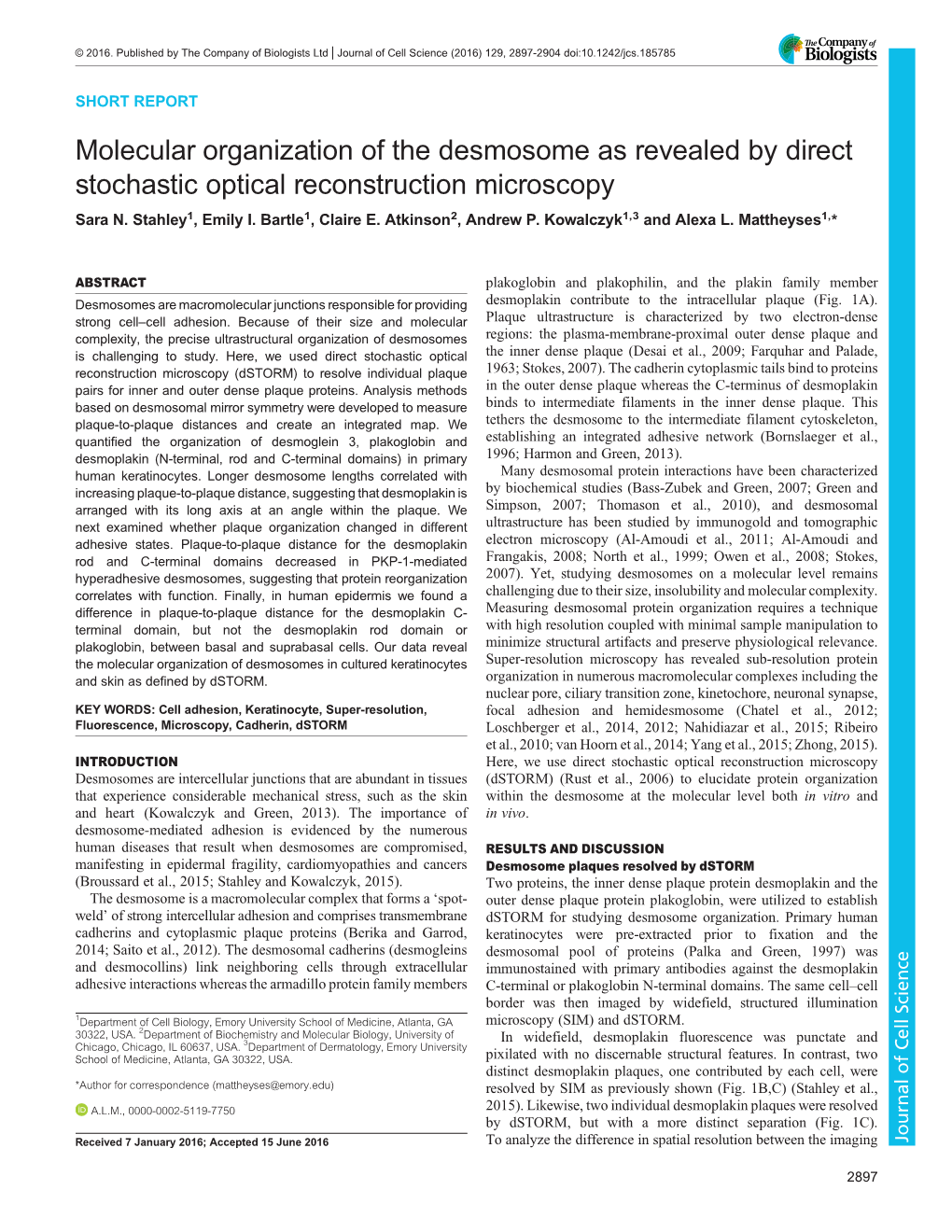 Molecular Organization of the Desmosome As Revealed by Direct Stochastic Optical Reconstruction Microscopy Sara N