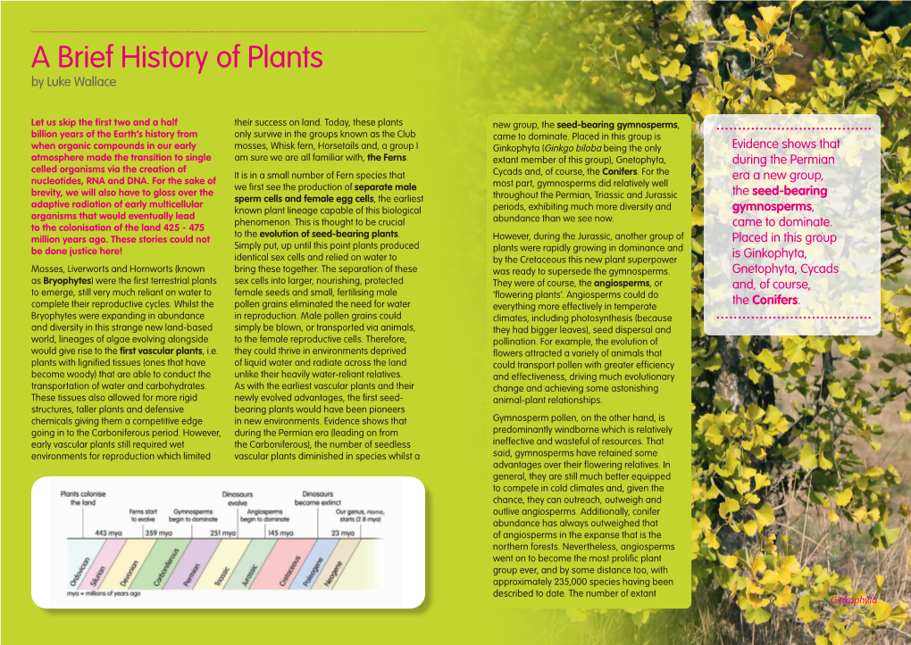 A Brief History of Plants by Luke Wallace