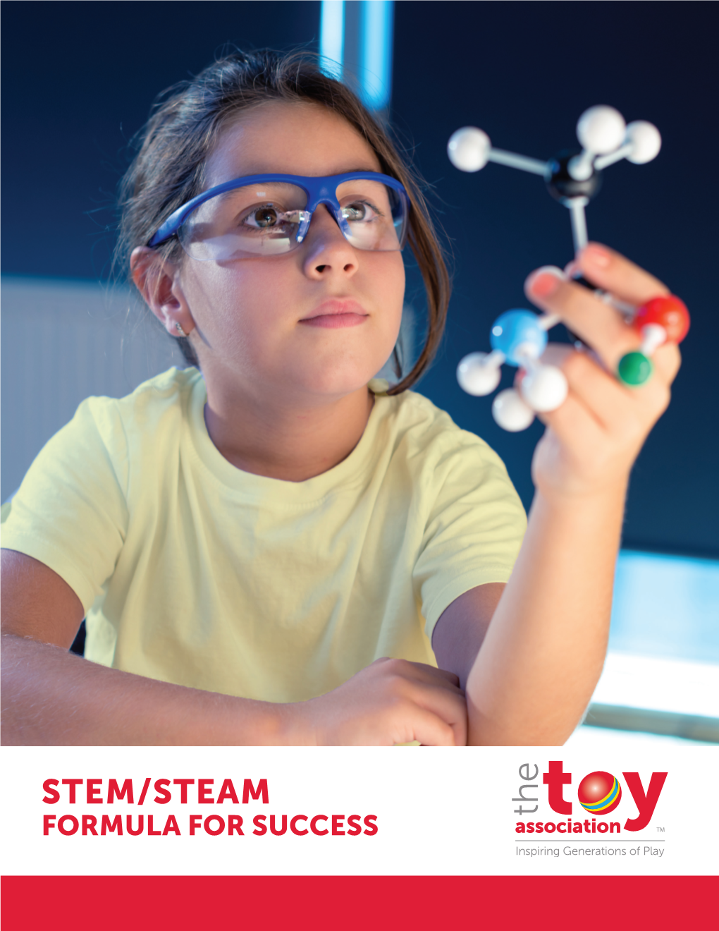 Stem/Steam Formula for Success