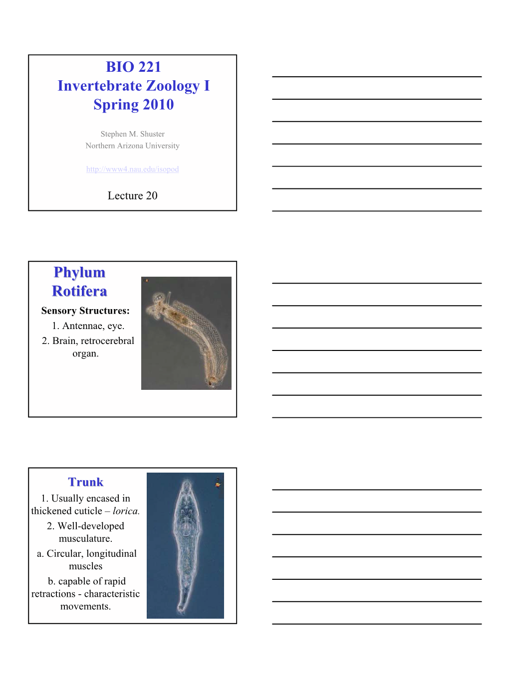 BIO 221 Invertebrate Zoology I Spring 2010 Phylum Rotifera