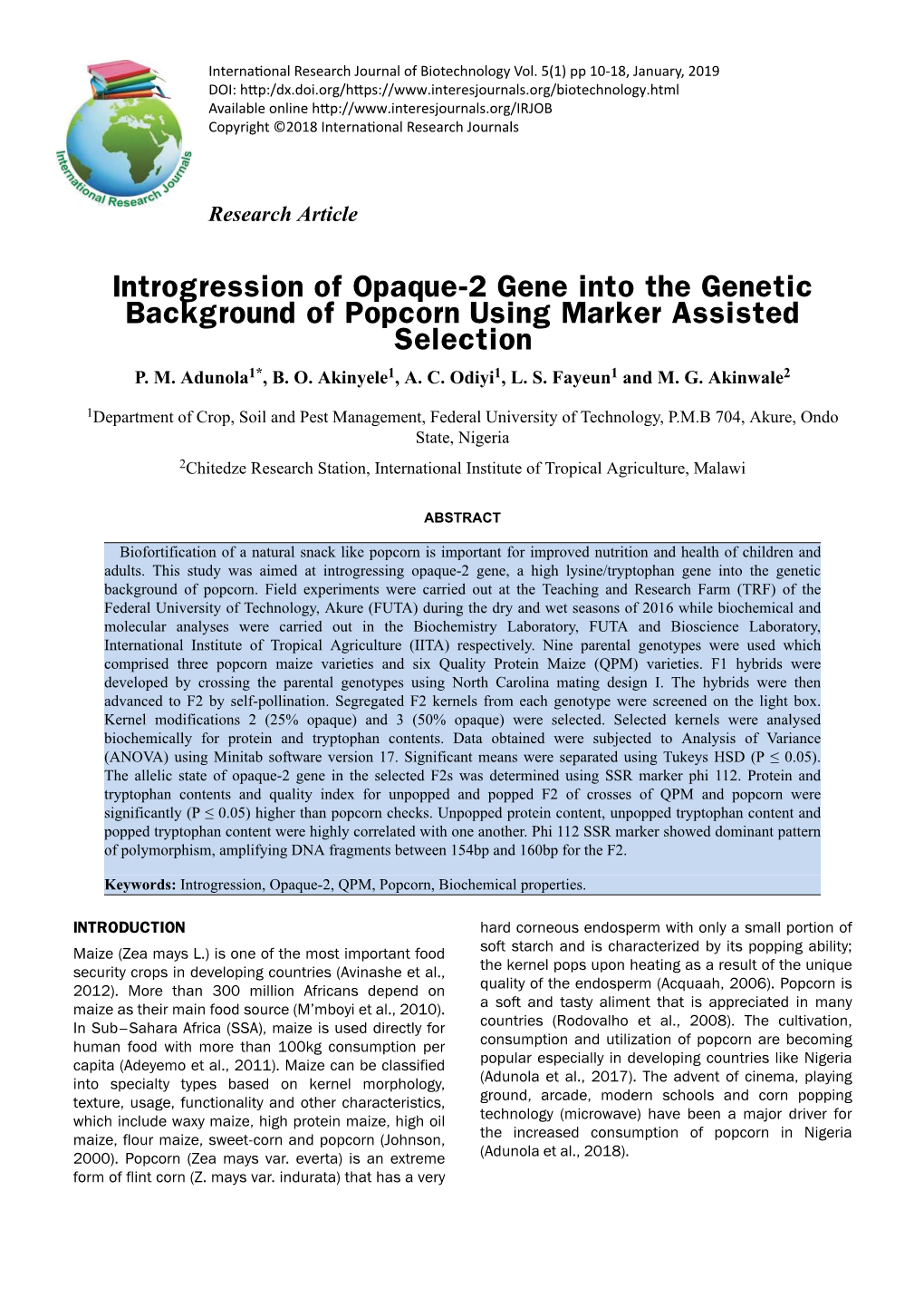 Introgression of Opaque-2 Gene Into the Genetic Background of Popcorn Using Marker Assisted Selection P