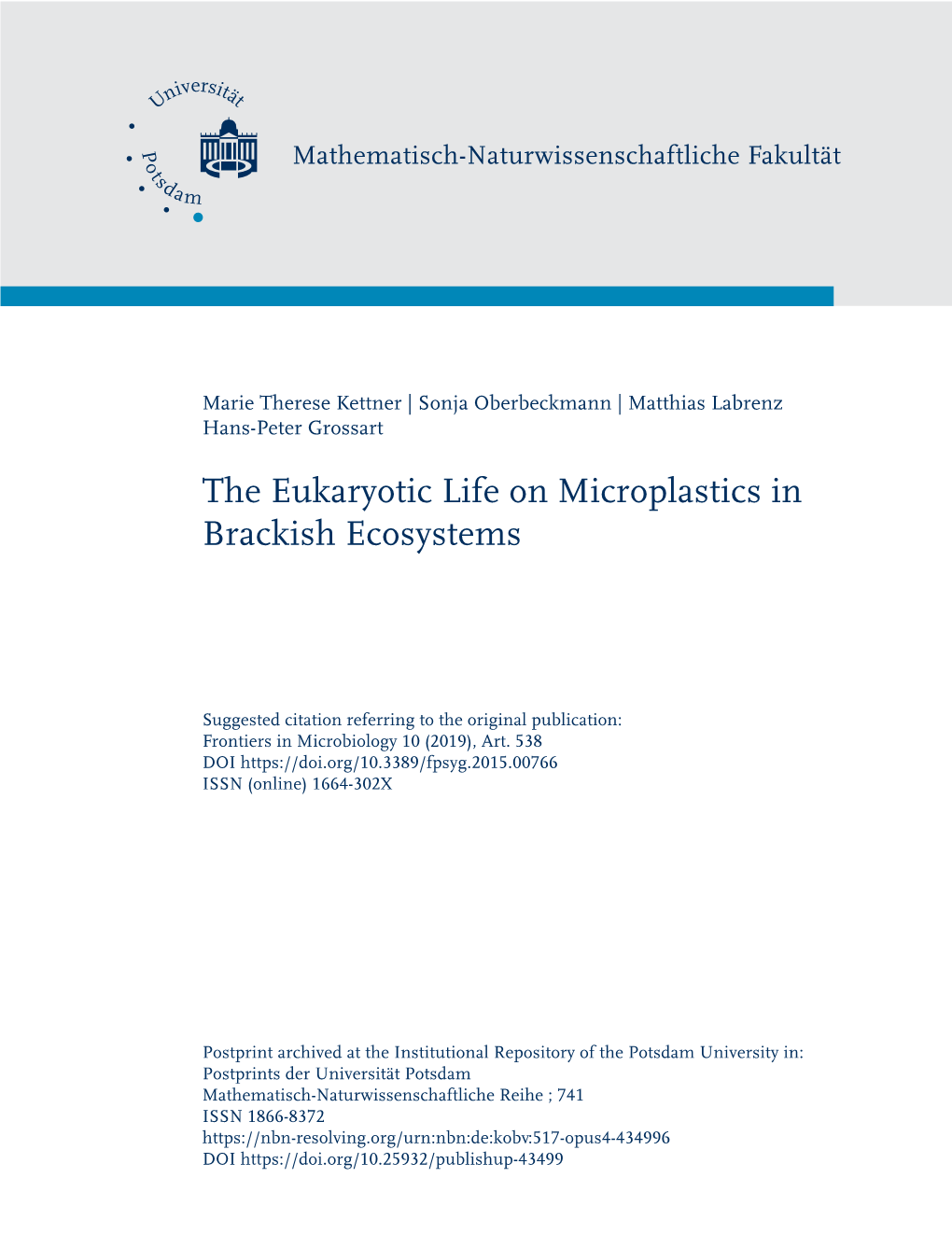 The Eukaryotic Life on Microplastics in Brackish Ecosystems