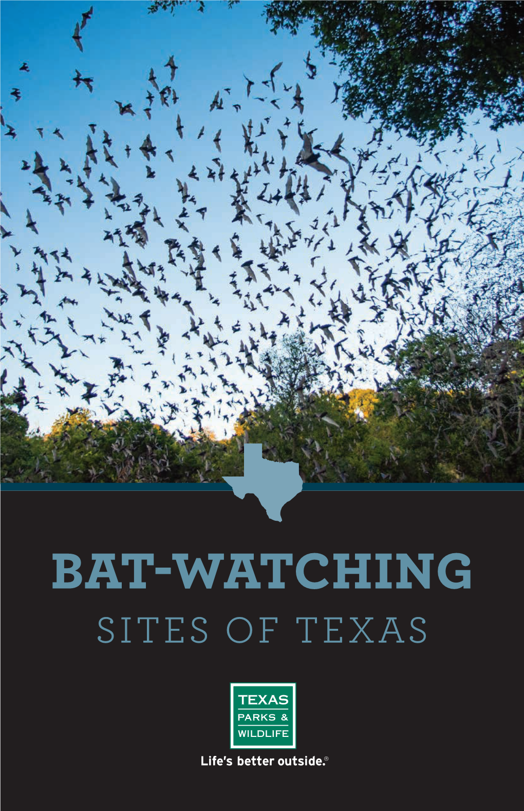 BAT-WATCHING SITES of TEXAS Welcome! Texas Happens to Be the Battiest State in the Country