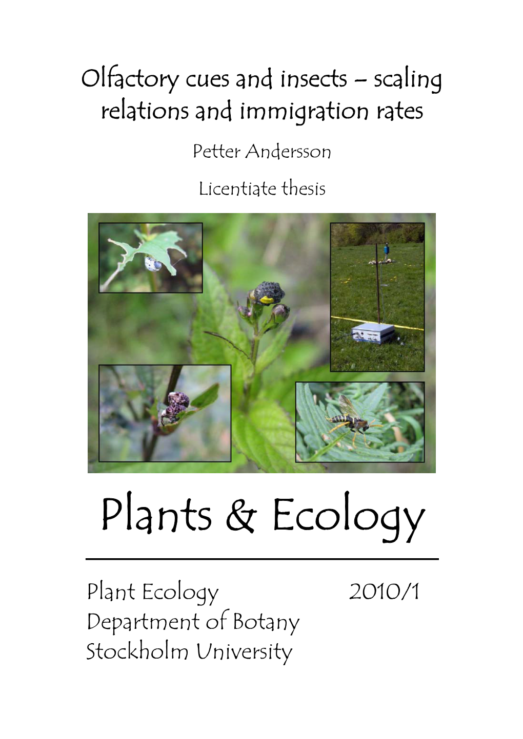 Plants & Ecology