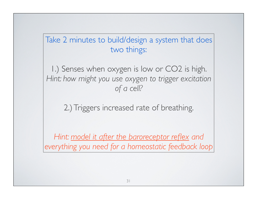 1.) Senses When Oxygen Is Low Or CO2 Is High. Hint: How Might You Use Oxygen to Trigger Excitation of a Cell?